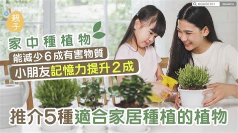 小朋友種植物|【親子種植樂】在家種植懶人包 培育小孩耐性的果實